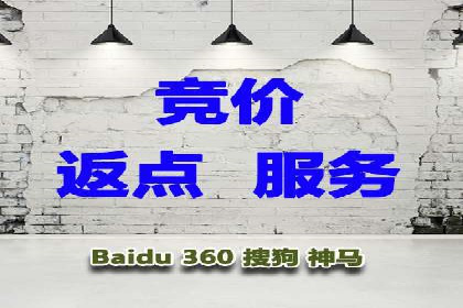百度推广成功案例分析